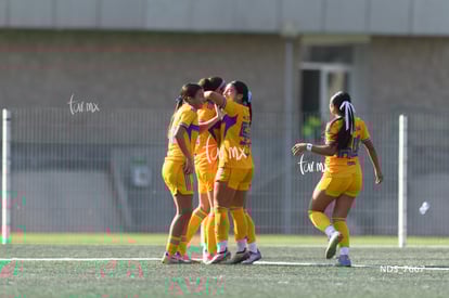 gol | Santos Laguna vs Tigres UANL S19
