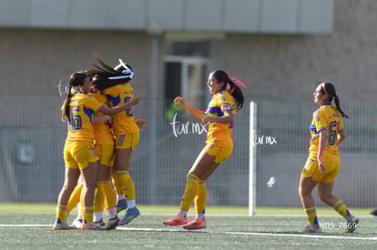 gol | Santos Laguna vs Tigres UANL S19