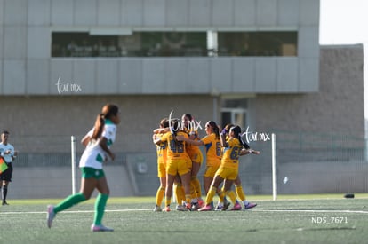 gol | Santos Laguna vs Tigres UANL S19