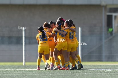 gol | Santos Laguna vs Tigres UANL S19