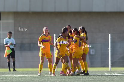 gol | Santos Laguna vs Tigres UANL S19