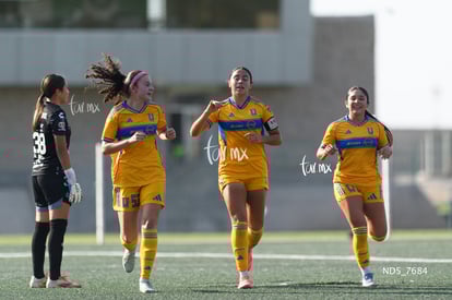 gol | Santos Laguna vs Tigres UANL S19