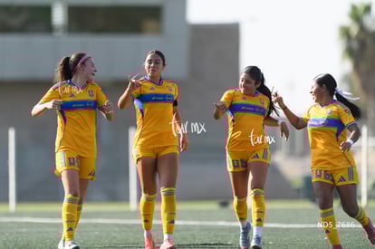 gol | Santos Laguna vs Tigres UANL S19