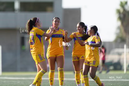 gol | Santos Laguna vs Tigres UANL S19