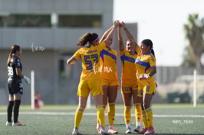 gol | Santos Laguna vs Tigres UANL S19