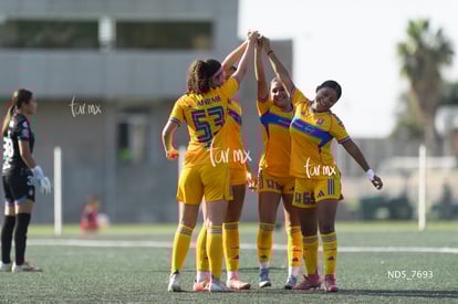 gol | Santos Laguna vs Tigres UANL S19