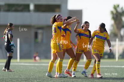 gol | Santos Laguna vs Tigres UANL S19