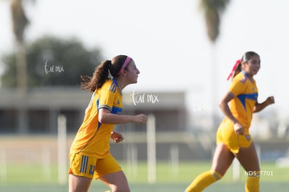 gol | Santos Laguna vs Tigres UANL S19