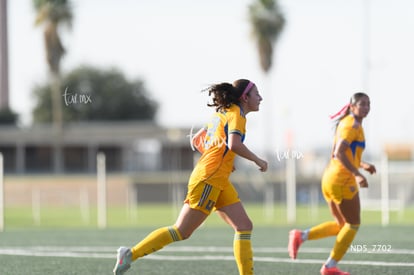 gol | Santos Laguna vs Tigres UANL S19