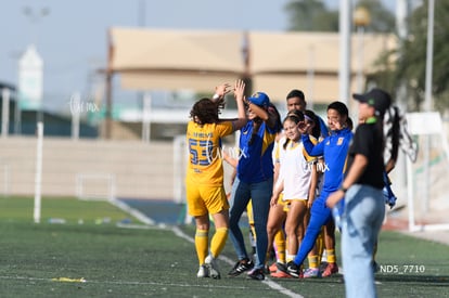 gol | Santos Laguna vs Tigres UANL S19