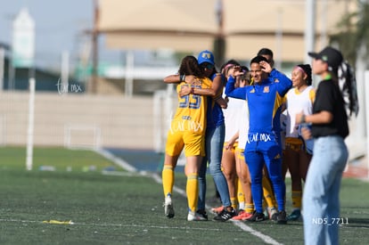 gol | Santos Laguna vs Tigres UANL S19