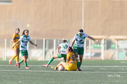 Santos Laguna vs Tigres UANL S19 | Santos Laguna vs Tigres UANL S19