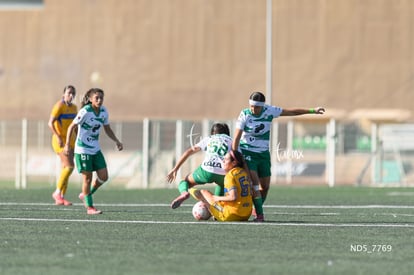 Santos Laguna vs Tigres UANL S19 | Santos Laguna vs Tigres UANL S19