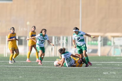Santos Laguna vs Tigres UANL S19 | Santos Laguna vs Tigres UANL S19