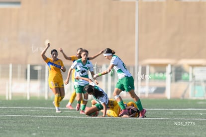 Santos Laguna vs Tigres UANL S19 | Santos Laguna vs Tigres UANL S19