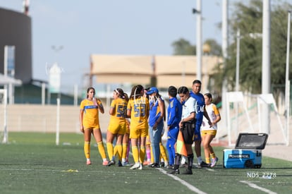 Santos Laguna vs Tigres UANL S19 | Santos Laguna vs Tigres UANL S19