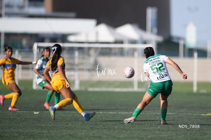 Santos Laguna vs Tigres UANL S19 | Santos Laguna vs Tigres UANL S19