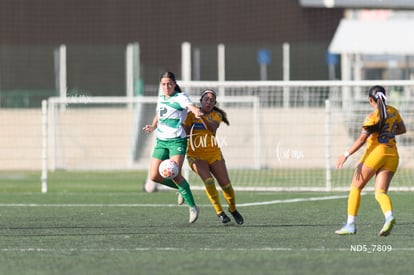 Julia De Santiago | Santos Laguna vs Tigres UANL S19