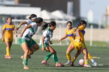 Natalia Castillo, Renata Ramírez | Santos Laguna vs Tigres UANL S19