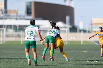 Santos Laguna vs Tigres UANL S19 | Santos Laguna vs Tigres UANL S19