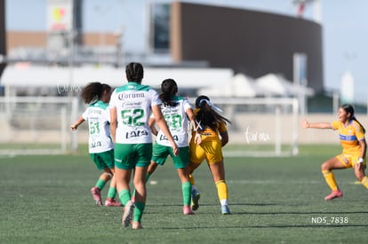 Santos Laguna vs Tigres UANL S19 | Santos Laguna vs Tigres UANL S19