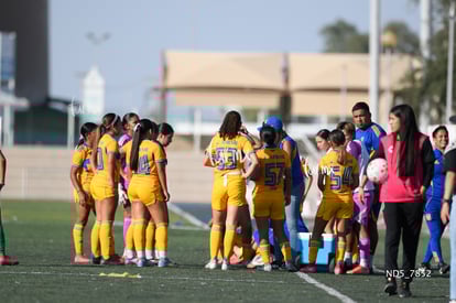 equipo | Santos Laguna vs Tigres UANL S19