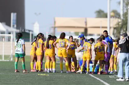 equipo | Santos Laguna vs Tigres UANL S19