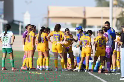 equipo | Santos Laguna vs Tigres UANL S19