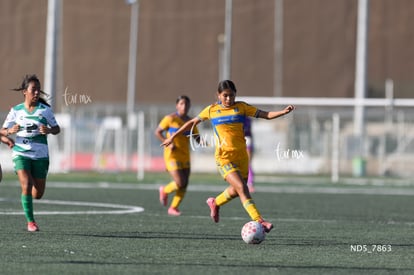 Santos Laguna vs Tigres UANL S19 | Santos Laguna vs Tigres UANL S19