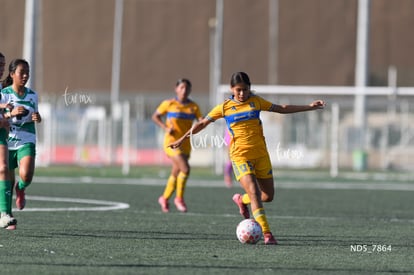 Santos Laguna vs Tigres UANL S19 | Santos Laguna vs Tigres UANL S19