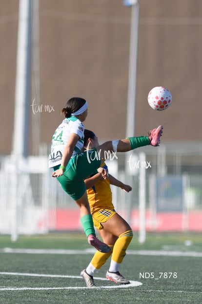 Britany Hernández | Santos Laguna vs Tigres UANL S19
