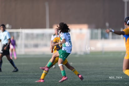Santos Laguna vs Tigres UANL S19 | Santos Laguna vs Tigres UANL S19