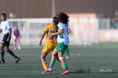 Santos Laguna vs Tigres UANL S19 | Santos Laguna vs Tigres UANL S19