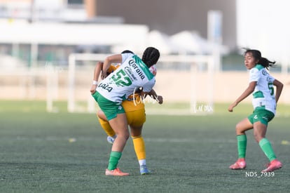 Santos Laguna vs Tigres UANL S19 | Santos Laguna vs Tigres UANL S19