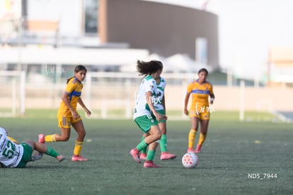 Santos Laguna vs Tigres UANL S19 | Santos Laguna vs Tigres UANL S19
