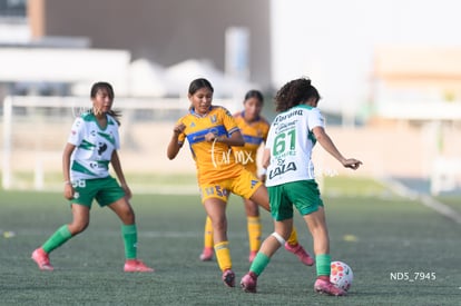 Ximena Ramírez | Santos Laguna vs Tigres UANL S19