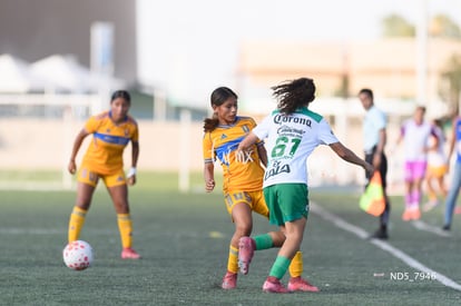 Santos Laguna vs Tigres UANL S19 | Santos Laguna vs Tigres UANL S19