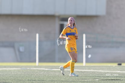 Lya Perez | Santos Laguna vs Tigres UANL S19