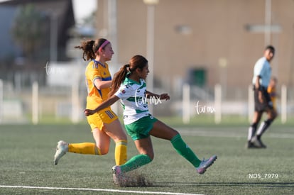 Daisy Porras | Santos Laguna vs Tigres UANL S19