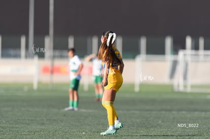 Devanny Carmona | Santos Laguna vs Tigres UANL S19