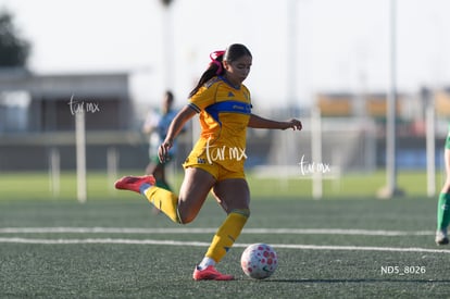 Alexa Gutiérrez | Santos Laguna vs Tigres UANL S19