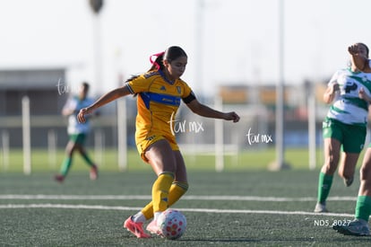 Alexa Gutiérrez | Santos Laguna vs Tigres UANL S19