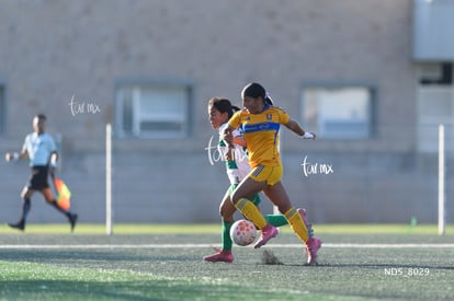 Santos Laguna vs Tigres UANL S19 | Santos Laguna vs Tigres UANL S19