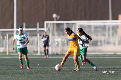 Natalia Castillo, Jennifer Escareño | Santos Laguna vs Tigres UANL S19