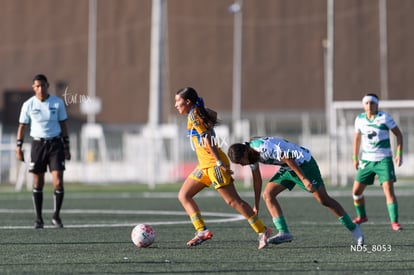 Santos Laguna vs Tigres UANL S19 | Santos Laguna vs Tigres UANL S19
