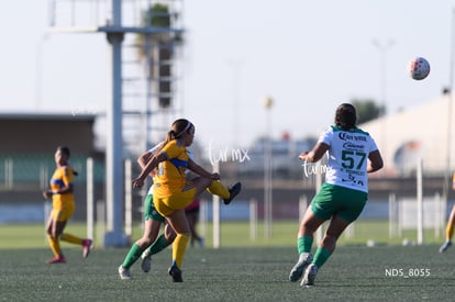 Santos Laguna vs Tigres UANL S19 | Santos Laguna vs Tigres UANL S19