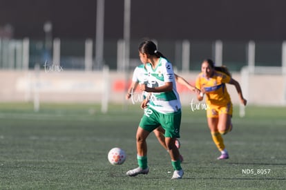 Santos Laguna vs Tigres UANL S19 | Santos Laguna vs Tigres UANL S19