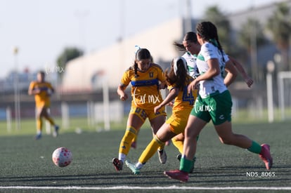 Sara Arroyo | Santos Laguna vs Tigres UANL S19