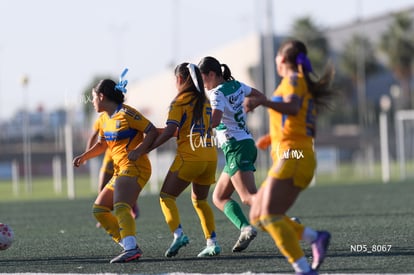 Santos Laguna vs Tigres UANL S19 | Santos Laguna vs Tigres UANL S19