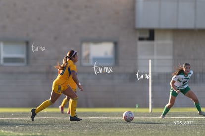 Santos Laguna vs Tigres UANL S19 | Santos Laguna vs Tigres UANL S19